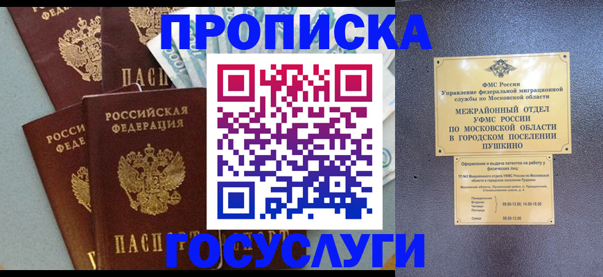 прописка гарантия в Дальнегорске
